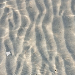 Ili Kro, Санкт-Петербург