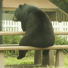 Светлана Миленина, 01.06.1988, Санкт-Петербург