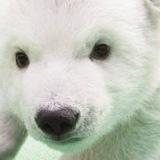 Ярослав Дубовенко, 11.01.1987, Костанай