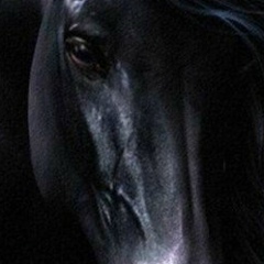 Алан Тот самый, 15.01