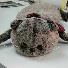 Артур , 22.12.1986, Алматы