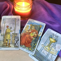 Елена Старцева, 08.09, Bangalore