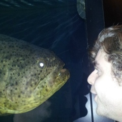 Cezar Salem, 13.11, Frankfurt am Main