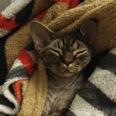 Сергей Кузнецов, 14.04, Москва