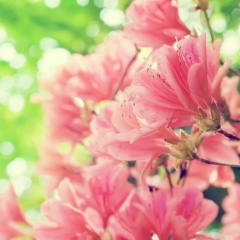 Инкар Мырзабекова, 06.08.1992, Алматы