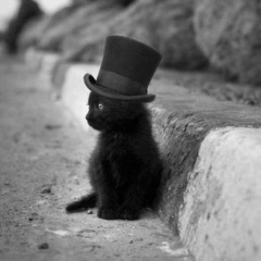 Николай Бершадский, 15.08, Санкт-Петербург