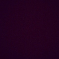 Платон Неофитов, Москва