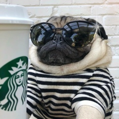 Михаил Игоревич, 28.06