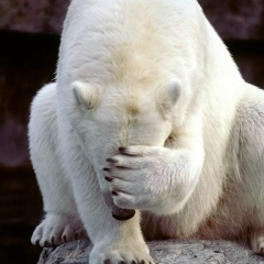 Абзал Колдасбеков, 25.09, Шымкент