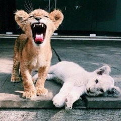 Юля Юла, 20.08, Санкт-Петербург