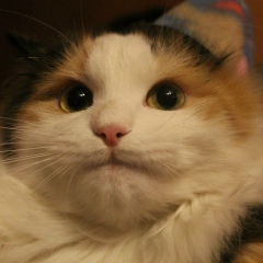 Ольга Лапенкова, 02.08.1985, Москва