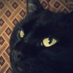 Сергей Тихомиров, 13.06.1988, Геленджик