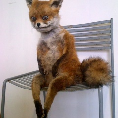 Олег Конов, 09.01.1983, Павловский Посад