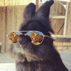 Света Короткова, 29.08