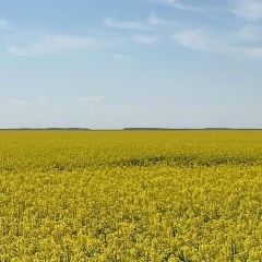 Кирилл Василисков, 05.09