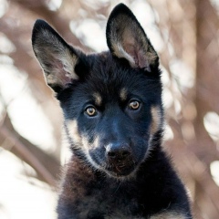 Максим Билык, 08.12