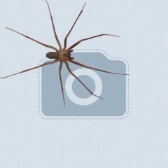 Алексей Моргунов, 27.02.1985, Саперное