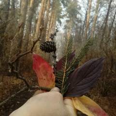 Асем Науанова, 15.11, Алматы