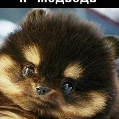 Марьяна Газиева, Нальчик
