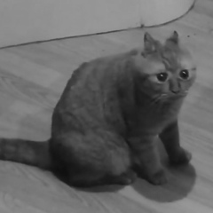 Мария Антонова, 05.05