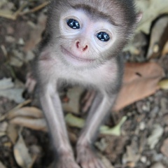 Натуля Прокофьева, 18.11.1989, Москва