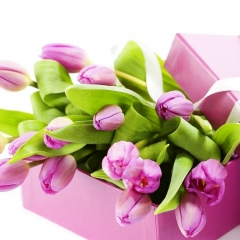 Александра Касилова, 23.07.1976