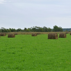 Ирина Кулева, Южно-Сахалинск