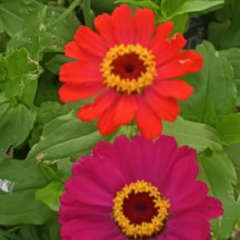 Венера Манапова, 03.01.1982, Павлодар