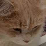 Ira Piontkevich, 16.05.1991, Бердичев