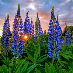 Алина Малофеева, 02.11, Одинцово