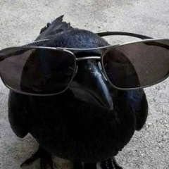 Валя Малькова, Новосибирск