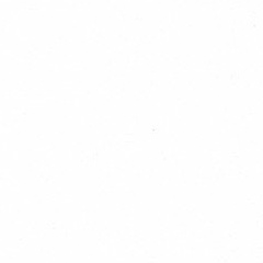 Антонина Пчелкина, 11.06, Минск