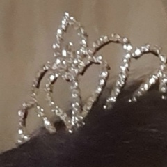 Вера Воробьева, 28.09, Москва