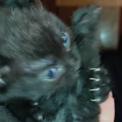 Евгения Трофименко, 14.07, Санкт-Петербург