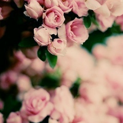 Зарема Хадисова, 22.09.1994, Грозный