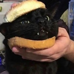 Вася Иванов, 18.10