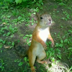 Андрей Не-Скажу, 04.02.1988, Москва