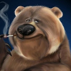 Миша Стариков, 13.11