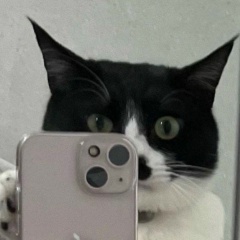 Марк Вернер