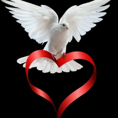 Елена Калугина, 25.03, Краматорск