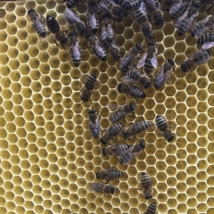 Ирина Приходько, 09.10, Киев