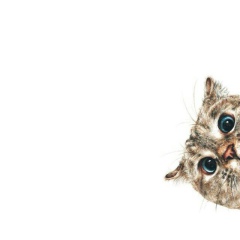 Игорь Гончаров, 16.06, Москва