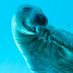 Даниил Посохов, 27.04.1986, Санкт-Петербург