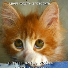 Тома Сопилко, Кропивницкий / Кировоград