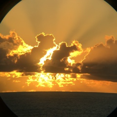 Евгений Терентьев, 21.08, Санкт-Петербург