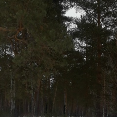 Алексей Светиков, 28.09, Тюмень