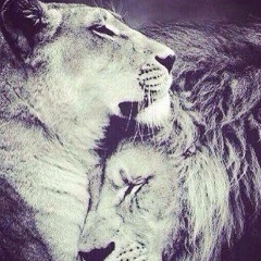 Мата Нохчоева, 20.06, Грозный