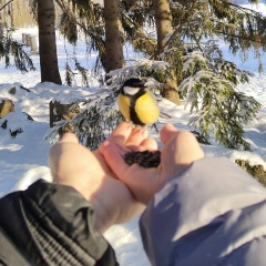 Светлана Коноваленко, 25.10, Санкт-Петербург