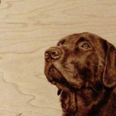 Марина Антипова, Санкт-Петербург