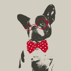 Дима Громов, Москва